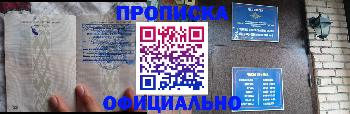 прописка поиск в Змеиногорске